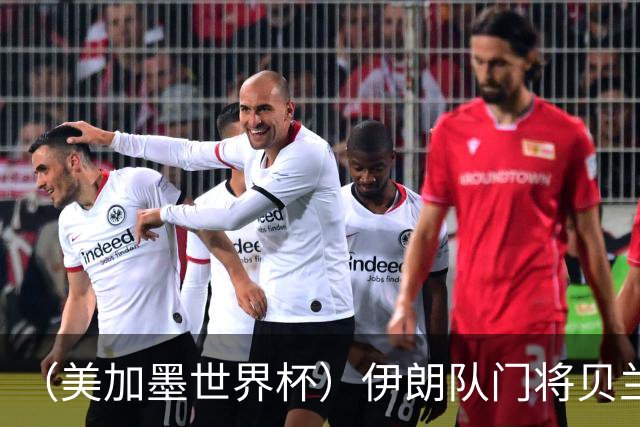 （美加墨世界杯）伊朗队门将贝兰万德的“满分”