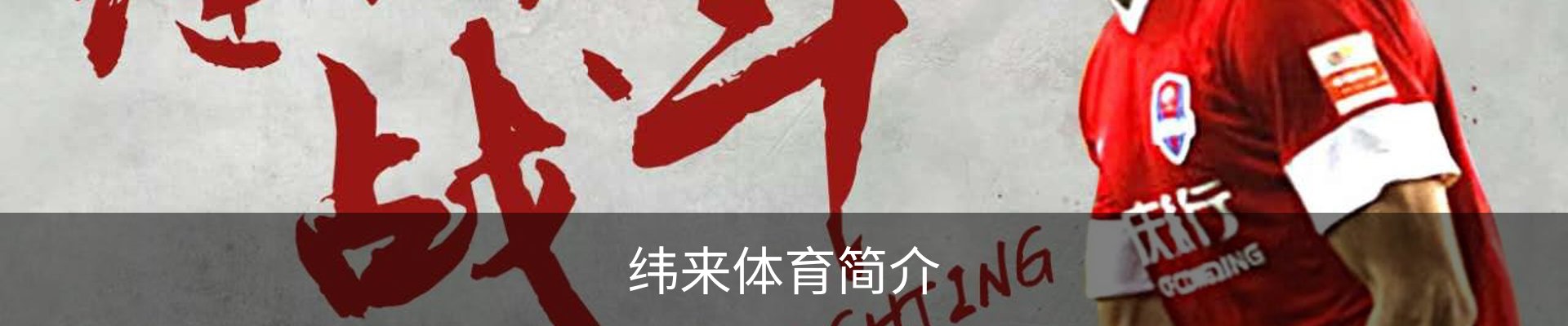 纬来体育简介